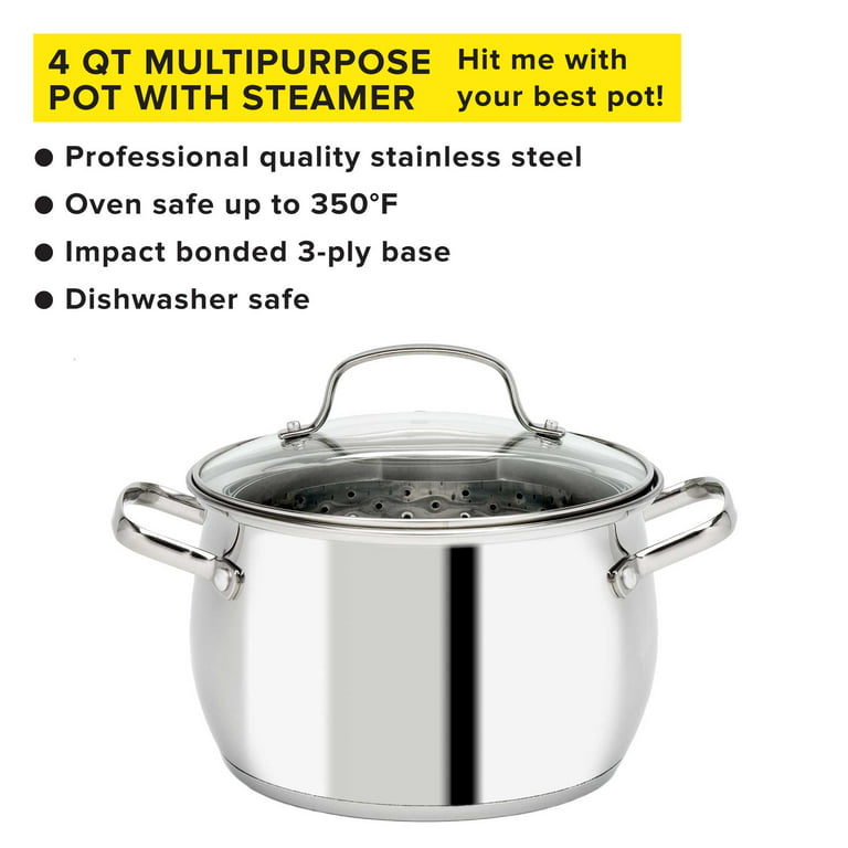 Tasty Stainless Steel Multi-Pot with Glass Lid, 4 Quarts