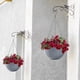 thumbnail image 3 of Macetas de Flores Al Aire Libre Tejido Plástico Cesta Colgante Montado en la Pared para Rábano Verde Suculento, Plástico Negro 8.27x8.27x6.1In, Macetas Colgantes para Plantas, 3 of 6