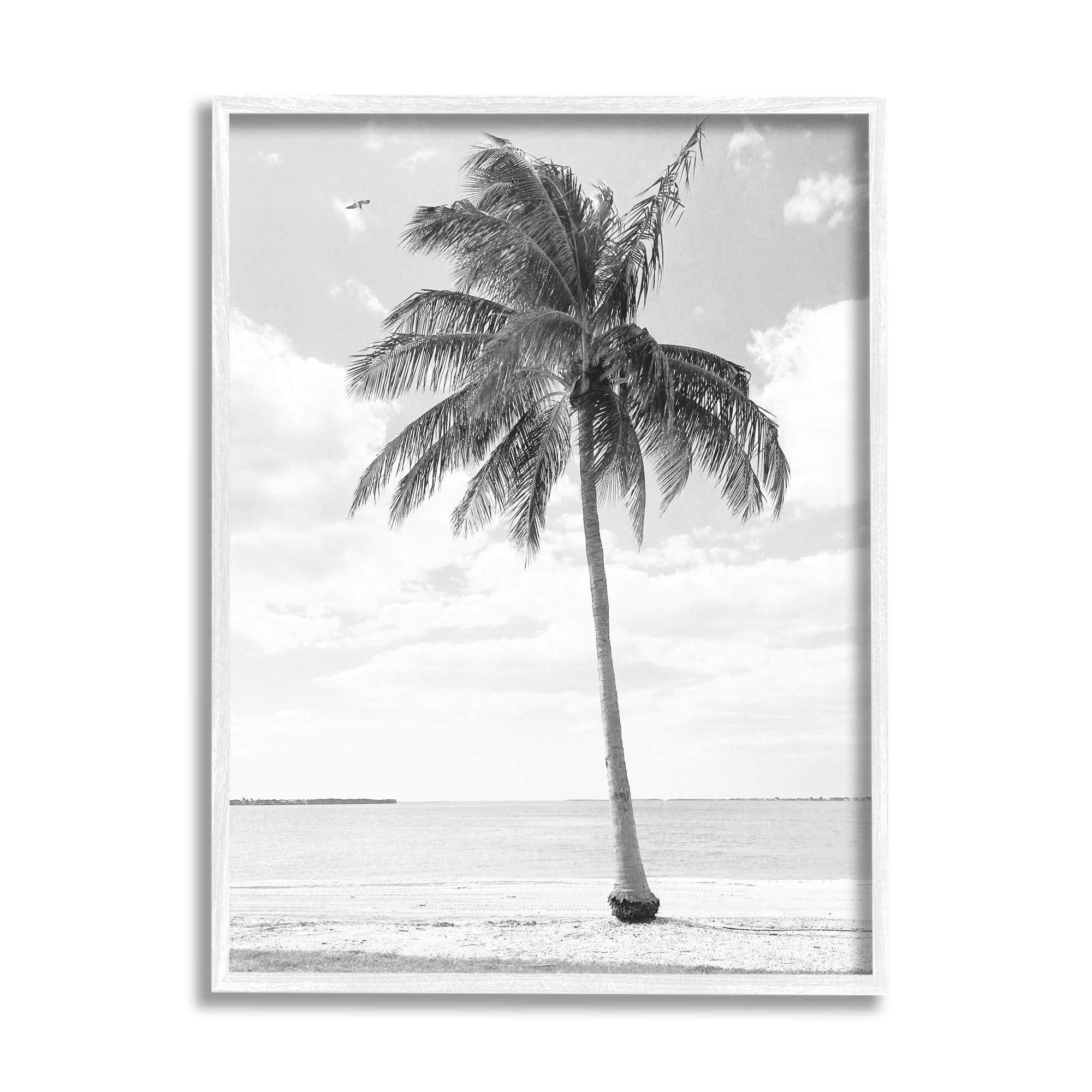 Stupell Industries Single Palm Tree Monochrome Tropical Beach Plant Photograph White Framed Art Print Wall Art, Design by Graffitee Studios