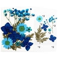 thumbnail image 1 of Natural Real Dried Flower Plants For Candle Epoxy Resin Jewelry Making Craft DIY, 1 of 7