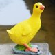 thumbnail image 3 of Adorno de Pato Pato Pequeño Adorno Acuático Estatua de Pato Estatuilla de Pato Escultura de Pato Estatuilla Estatua de Animal Decoración Adorno de Pato Regalos Estatuilla para ANGGREK Otros, 3 of 8