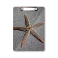 thumbnail image 1 of Gris Mur Étoile de Mer Science Nature Image Presse-Papiers Dossier Écriture Pad Support Plaque A4, 1 of 4