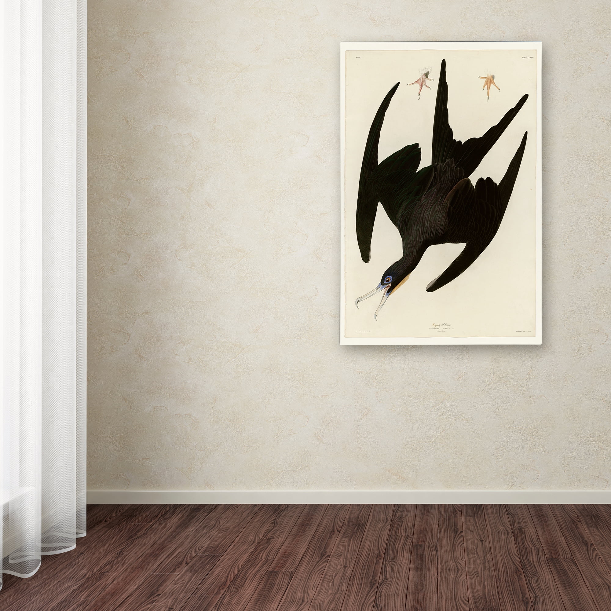 Audubon 'Frigate Pelicanplate 271' Canvas Art