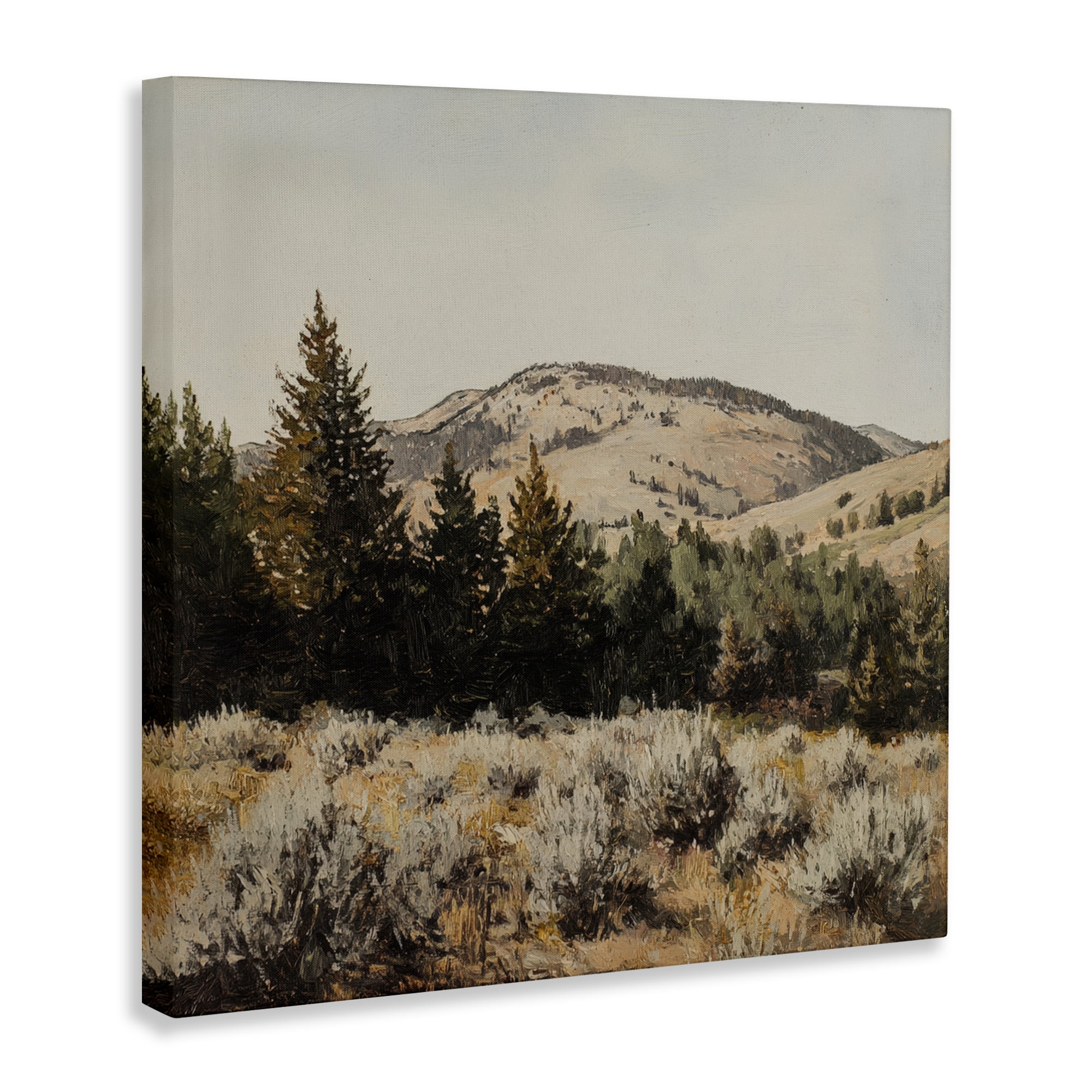 Stupell Industries Cedar Mountain View Canvas Wall Art, design by Petal Prints Design