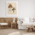 thumbnail image 3 of Stupell Industries Woodland Mushrooms & Snail Botanical & Floral Painting Gallery Wrapped Canvas Art Print Wall Art, 36 x 48, 3 of 8