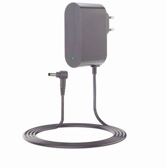 Chargeur 30,45v pour Dyson Cyclone V10 V11 V12 V15 - (Compatible avec SV12 SV14 SV22 SV20 Détection Animal Absolu avec Indicateur