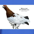 thumbnail image 3 of CafePress - Willow Ptarmigan Dark T Shirt - Men's Classic Graphic Cotton T-Shirt, 3 of 4