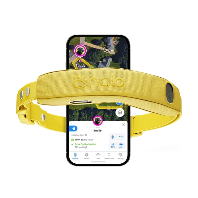 Collar para perro Halo Collar 5 con GPS inalámbrico e impermeable, amarillo
