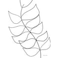 thumbnail image 2 of Ball, Susan 19x24 White Modern Wood Framed Museum Art Print Titled - Leaf Sketch 1, 2 of 4