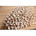 thumbnail image 3 of 9.5Long of Artificial Flowers Fake Flowers, Artificial Flowers for Wedding Home Office Party Hotel Indoor or Yard Decoration(White) (0, White), 3 of 5