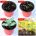 thumbnail image 3 of MesaSe Plastic Plant Flower Nursery Seed Starting Pots Seedling Succulent Grow Containers Set, 3 of 9
