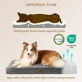 thumbnail image 2 of Orthopedic  Dog Bed with Removable Cover for Large Dogs, , 41x27, 2 of 8
