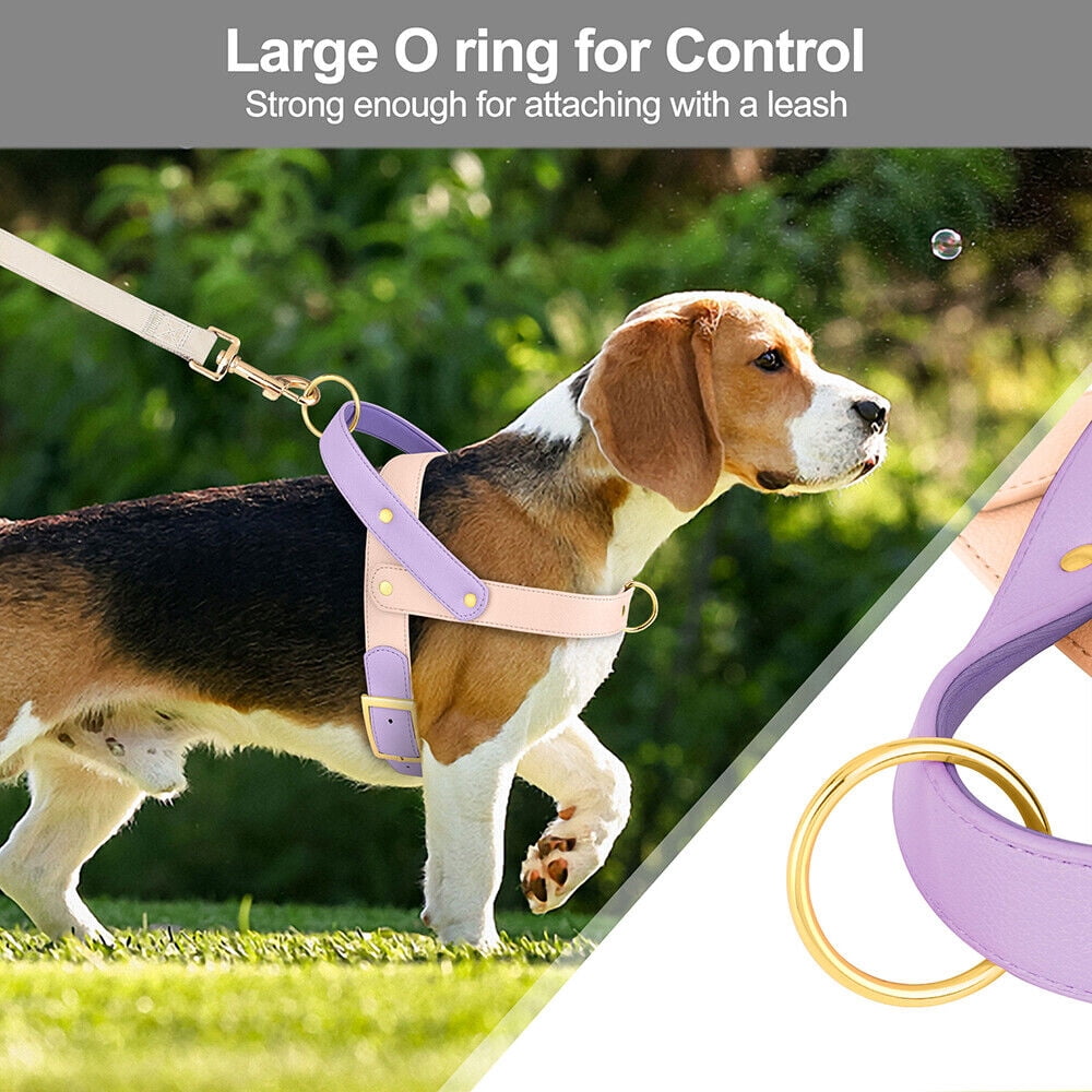 Didog Fashion No Pull Front Leading Dog Harness Soft Leather Adjustable Chest Vest with Handle
