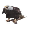 thumbnail image 4 of Hanging Bird Repellent Fake Owls Decoy Scare Birds Protection Repellent Control Scarecrow Home Garden Owls Decor, 4 of 11