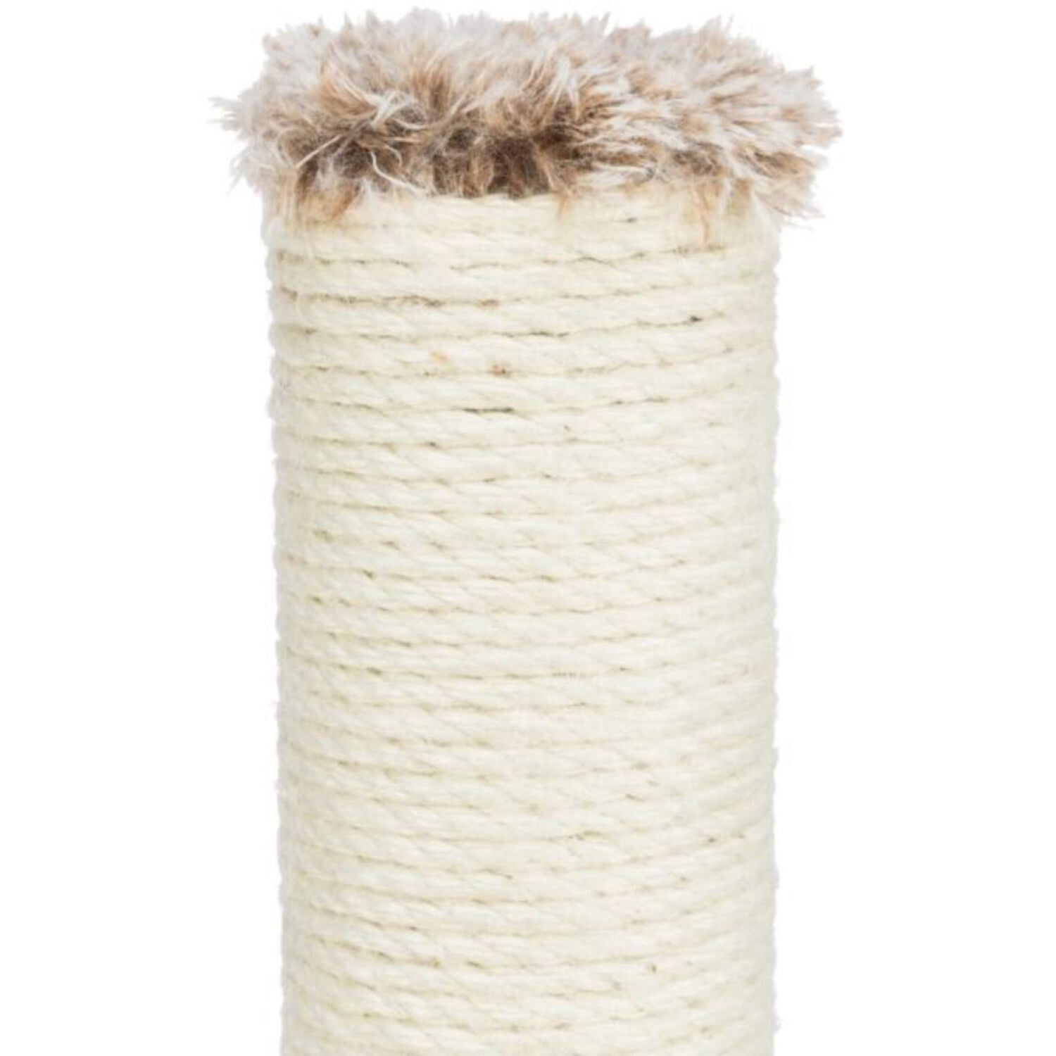 Trixie Pet Products 4011905433363 Cat Lola Scratching Post, Brown
