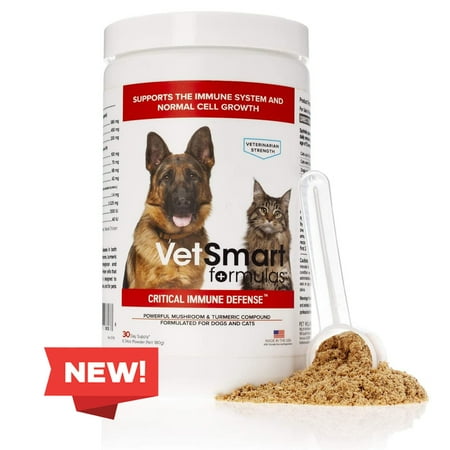 UPC: 0691327266288 | VetSmart Formulas Immune Supplement for Dogs & Cats – Mushroom Formula with White Turmeric