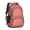 Paisley and Floral-2, variant on Paisley and Floral Red Pattern Cute School Backpack Bag with Padded Back and Adjustable Shoulder Straps 16.9 X 12.6 X 5.9 Inches