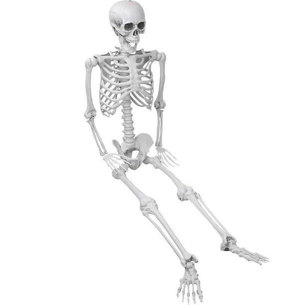 5.4ft Halloween Skeletons Full Body Bones with Movable Joints for