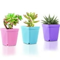 thumbnail image 4 of Maceta cuadrada Ounissouiy para plantas con orificio de drenaje y bandeja color Rosa, 4 of 6