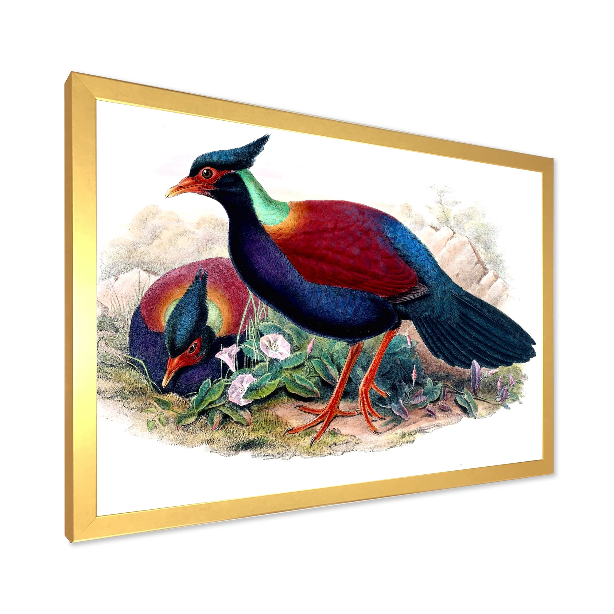 Designart 'Ancient Birds In The Wild II' Traditional Framed Art Print