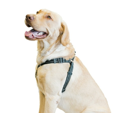 UPC: 0729849167070 | Premier Pet No Pull Step-in Harness for Large Dogs – Best for Dogs 70+ lb. – Adjustable at Chest and Rib Cage