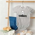 thumbnail image 4 of Llamaste Namaste Spiritual Llama Romper Boys or Girls Infant Baby Brisco Brands 18M, 4 of 6
