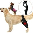 GARENAS Dog Knee Brace for for Support with Cruciate Ligament Injury