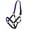 Purple, variant on Showman Full Size Horse Nylon Colored Neoprene Lined Halter