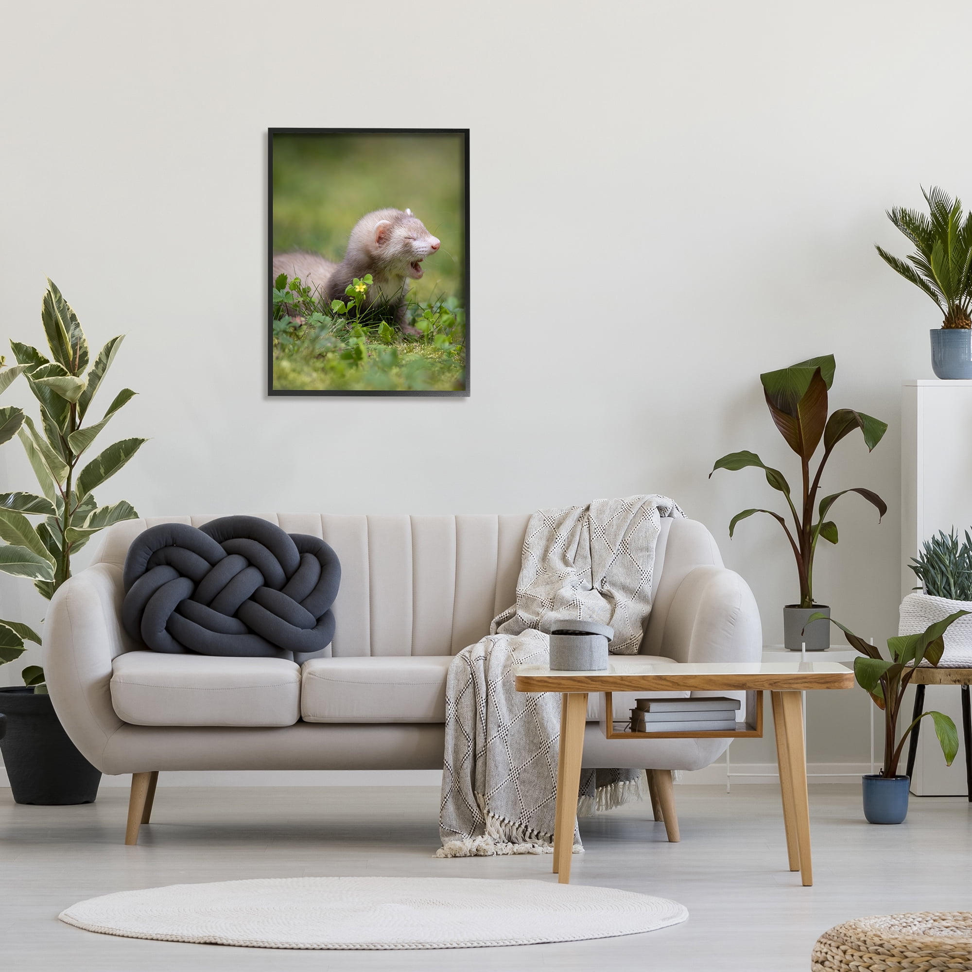 Stupell Industries Baby Ferret in Grass Animals & Insects Photography Black Framed Art Print Wall Art, 24 x 30