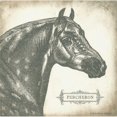 thumbnail image 3 of Babbitt, Gwendolyn 12x12 Black Modern Framed Museum Art Print Titled - Percheron, 3 of 5