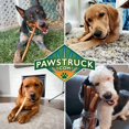 Pawstruck Beef Collagen Sticks for Dogs, Long Lasting Chews for All