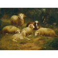 thumbnail image 3 of Johann Baptist Hofner 18x14 Black Modern Framed Museum Art Print Titled - Sheep (1870), 3 of 5