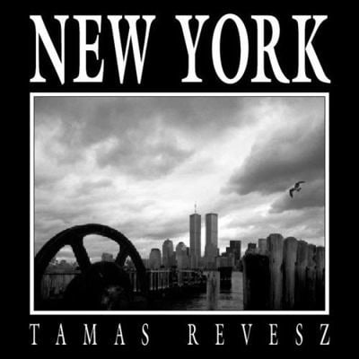 Pre-Owned New York (Hardcover) 0393050238 9780393050233