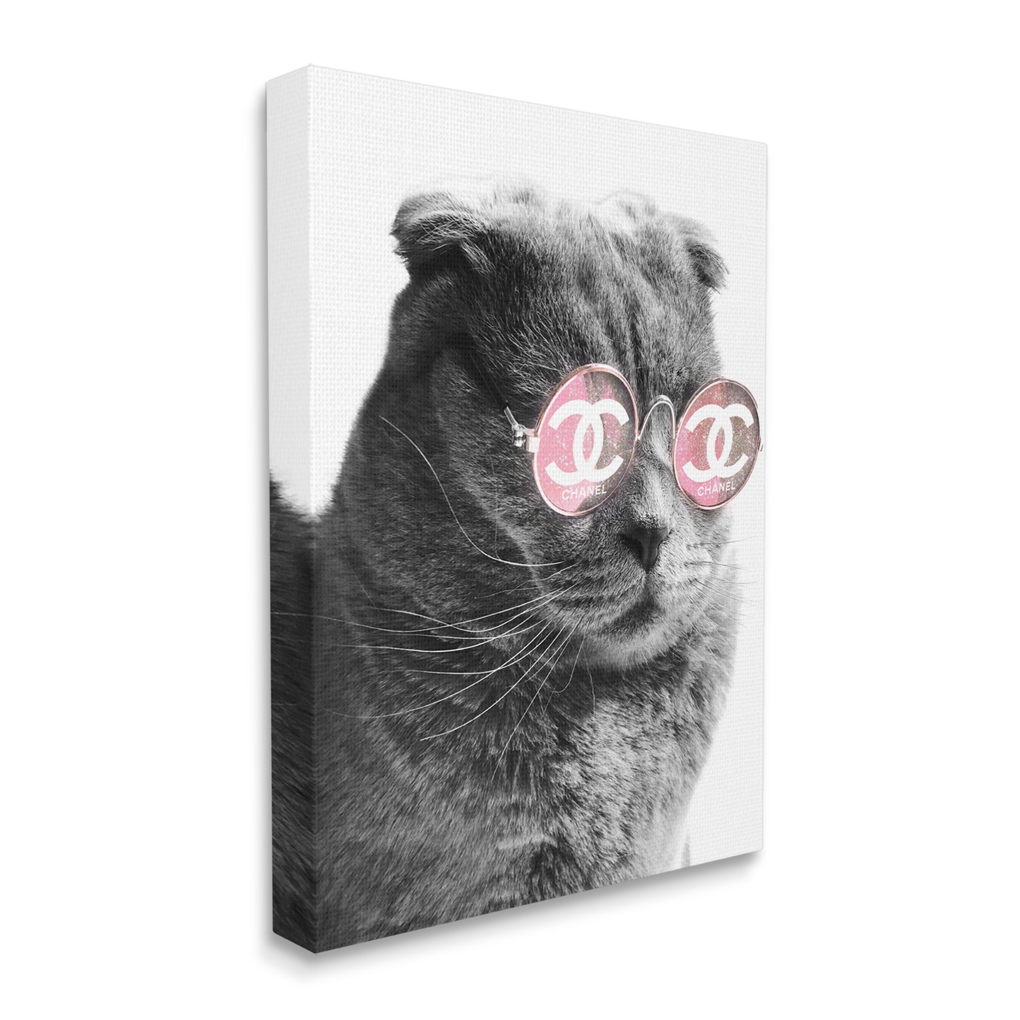 Stupell Industries Trendy Cat Wearing Glam Fashion Pink Sunglasses Graphic Art Gallery Wrapped Canvas Print Wall Art, Design by Ziwei Li