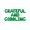 Green, variant on Letter Balloons - GRATEFUL AND GOBBLING 16" Inch Alphabet Letters Foil Mylar Balloon Thanksgiving Party Banner (Blue)