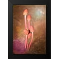 thumbnail image 2 of Murdock, Ramona 17x24 Black Modern Framed Museum Art Print Titled - Mushroom Bouquet, 2 of 5