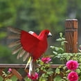 thumbnail image 4 of Estatua de loro, adorno de pájaro, guacamayo realista, loro, guacamayo artificial con plumas Rojo, 4 of 6