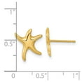 thumbnail image 2 of 14k Solid Yellow Gold Polished Sea shell Nautical Starfish Post Earrings 12x11mm Wide Stud Earring for Women, 2 of 2