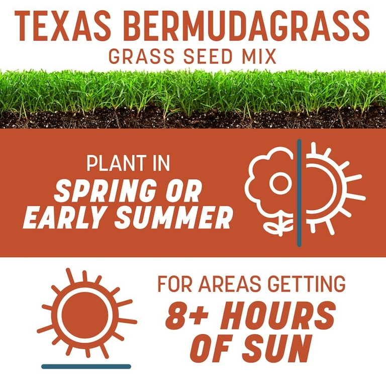 2 pack) Pennington Smart Seed Texas Bermuda Grass Seeds for Lawn, Full Sun,  8.75 lb Bag - Walmart.com