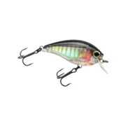 Yo-Zuri 3DB 1.5 Square Bill Crankbait Real Gizzard Shad
