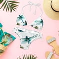 thumbnail image 6 of Dragonfly Chic One-Piece Swimsuits Bikini Set: Detachable Sponge, Adjustable Strap, Two-Pack, for Pools and Beaches, 6 of 6