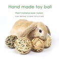 5 Pieces Small Animal Chew Ball Toy Rolling Activity Play Balls Bunny ...