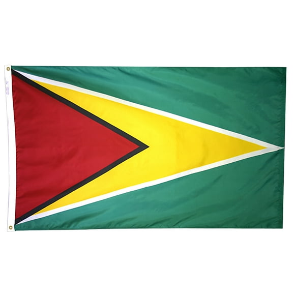 Annin Flagmakers Model 193302 Guyana Flag Nylon SolarGuard NYL-Glo, 2x3 ft, 100% Made in USA to Official United Nations Design Specifications
