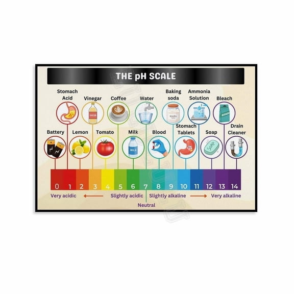 The Ph Scale Knowledge Poster (9) Canvas Painting Posters And Prints Wall Art for Living Room Bedroom Decor