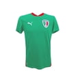 thumbnail image 1 of Jersey Puma Selección Mexicana Hombre 73911102, 1 of 3