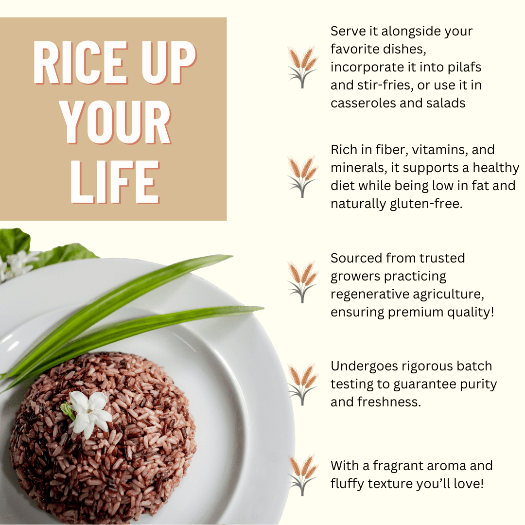 Rice, Jasmine Brown,  40LB Emergency Bucket, USDA Certified Organic & GMO Free, Sustainable Farming Practices-Mountain High Organics