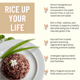 thumbnail image 4 of Rice, Jasmine Brown,  40LB Emergency Bucket, USDA Certified Organic & GMO Free, Sustainable Farming Practices-Mountain High Organics, 4 of 7