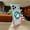 Blue, variant on Transparent Case for iPhone 16e/17e, Compatible with MagSafe, Ultra Slim TPU + PC Clear Cover with Ring Kickstand Anti-Yellow Anti-Fingerprint Shockproof Anti-Slip Bumper Frame, Orange