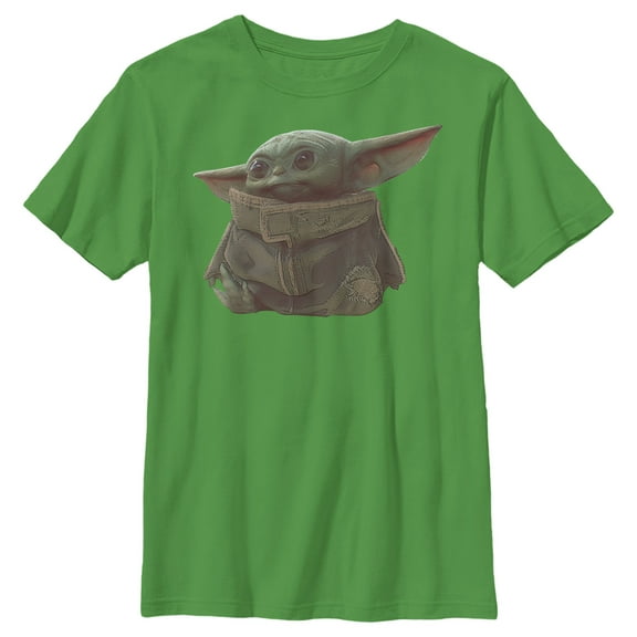 Boy's Star Wars: The Mandalorian The Child Portrait Graphic Tee Kelly Green X Small