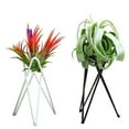 thumbnail image 2 of 2 PCS Black Metal Vase Home Gardening Tripod Stand, 2 of 8